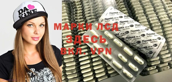 гашик Касимов