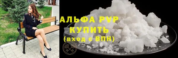 гашик Касимов