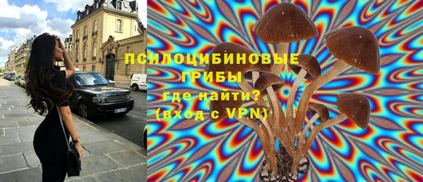 дмт Карталы