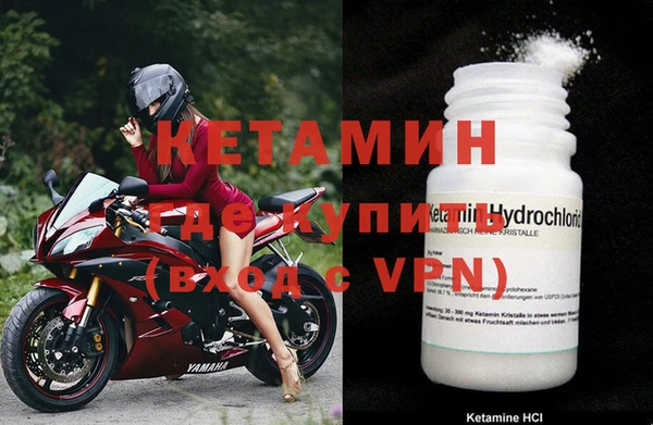 гашик Касимов