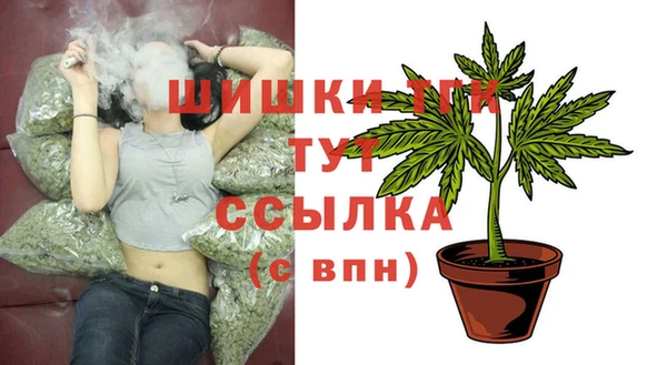 гашик Касимов