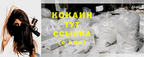 гашик Касимов