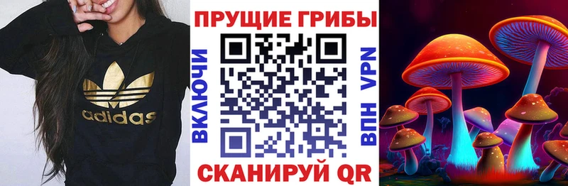 Псилоцибиновые грибы Psilocybine cubensis  Купить закладки  Новохопёрск 