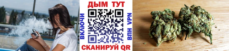 Купить где  Новохопёрск  Каннабис индика 
